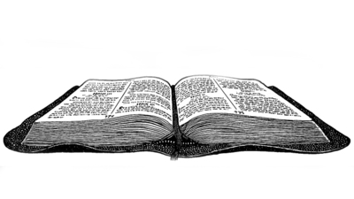 Open bible drawing