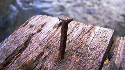 A nail in a wooden stake