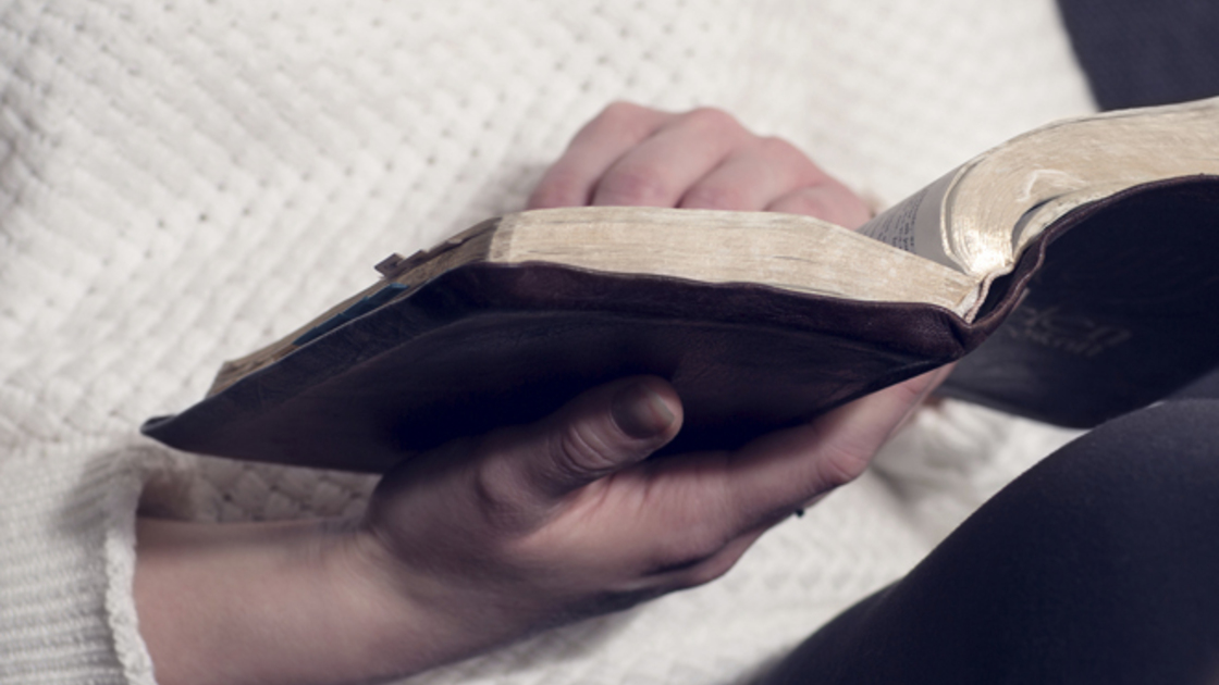 Young woman reading the Bible