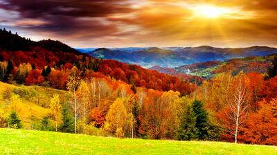 Hilly terrain during the autumn time of year. 