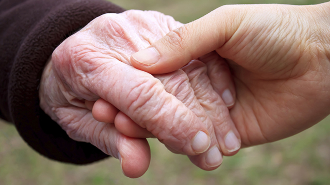 Young woman's hand holding old woman's hand.