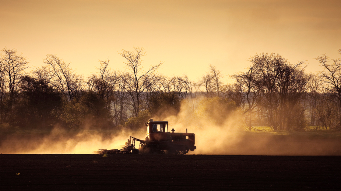 16x9 ( Don't work too Hard)
Lonely tractor working on a field in spring, forming a cloud of dust.