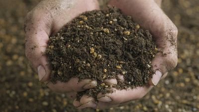 A handful of soil