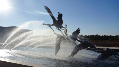 16x9(Swans in Flight to Adorn Sculpture)