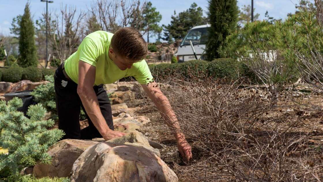 AC001.jpg Herbert W. Armstrong College students maintain the campus' landscaping and grounds of both the college and the Philadelphia Church of God. This photo was taken outside of Armstrong Auditorium.