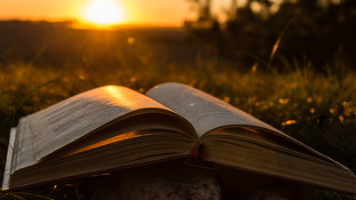 Open book in the rays of the setting sun against the background of tree silhouettes. Knowledges are an inexhaustible source of wisdom and inspiration