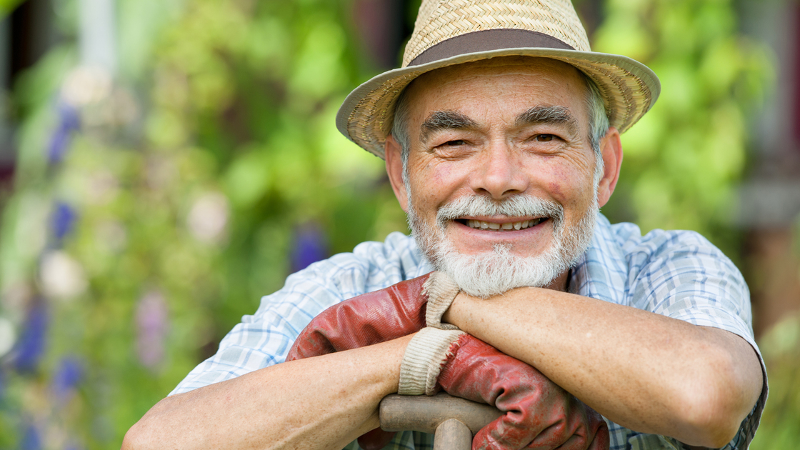 Senior gardener with a spade in the garden