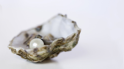 Half shell oyster with precious pearl