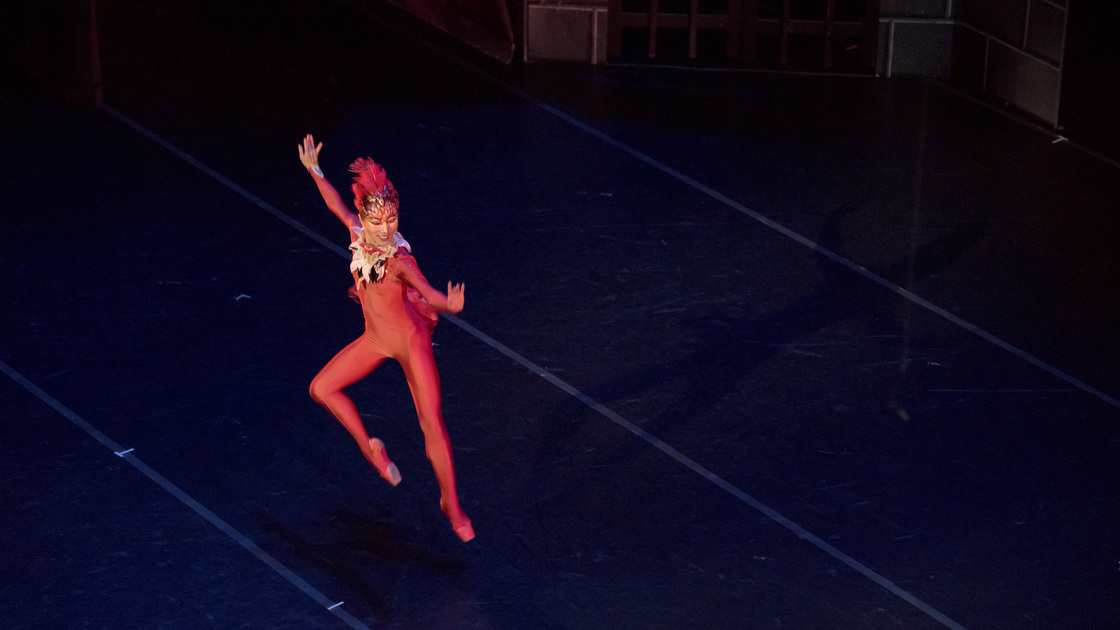 The Firebird OKC Ballet