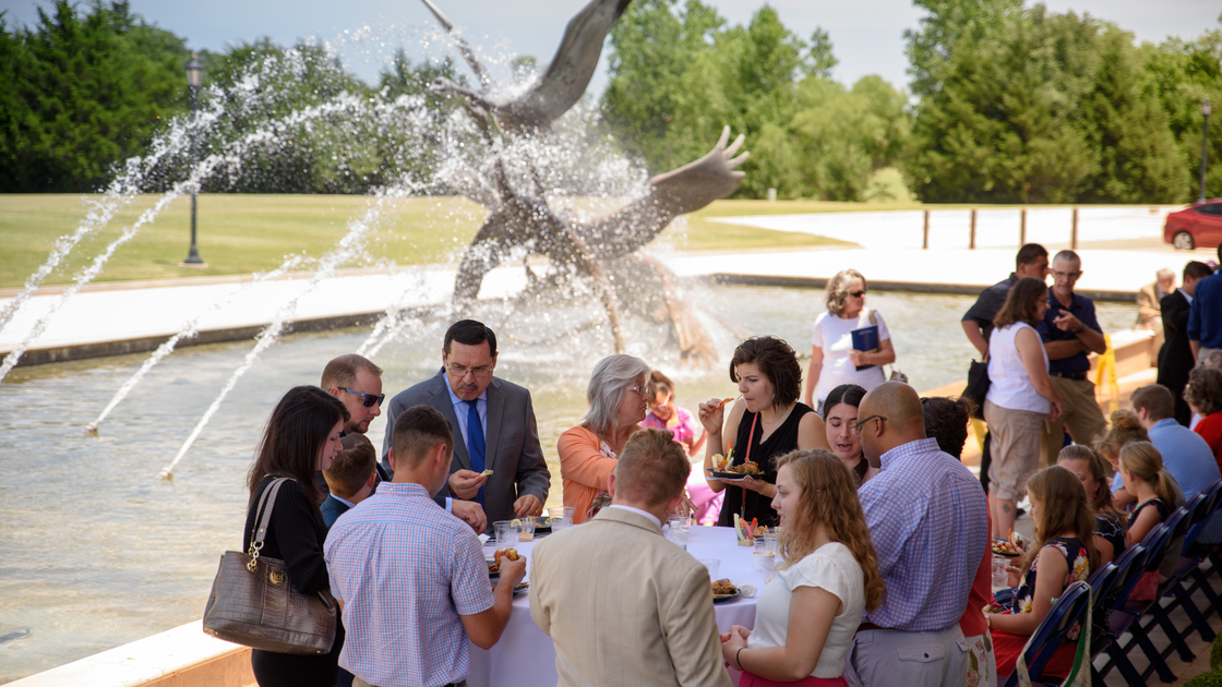 Exhibit opening, reception, swans in flight