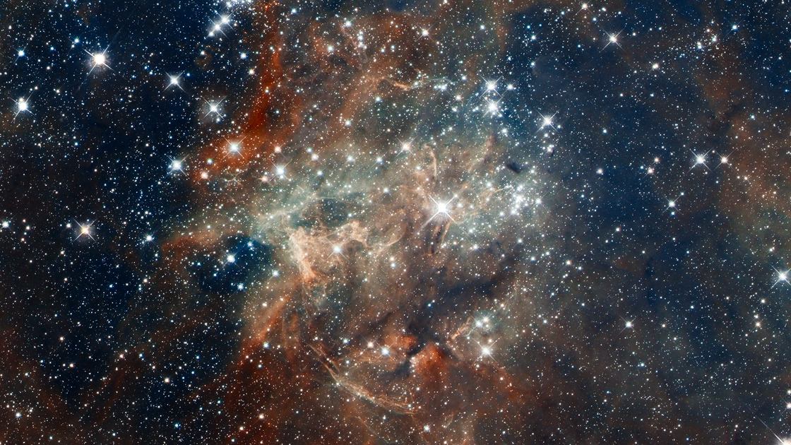 Dorado NGC 2060 Star Cluster