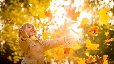 Little child catching falling leaves in fall season - on sunny evening