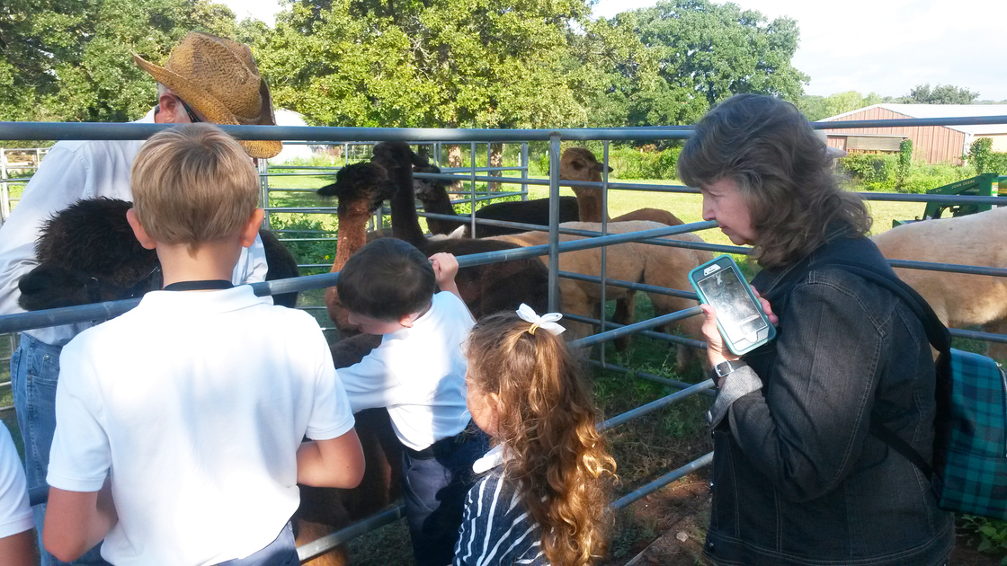 ACT Imperial Academy Field trip, alpaca farm, 16x9