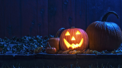 A glowing smiling Jack O' Lantern looking at the camera sitting on an old weathered wooden deck under the blue moon light. There are various size pumpkins and gourds sitting within the Fall leaves with a barn wall in the background.