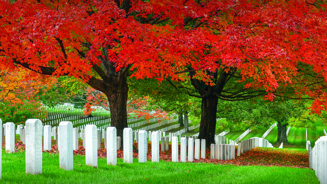 Cemetery Last Great Day