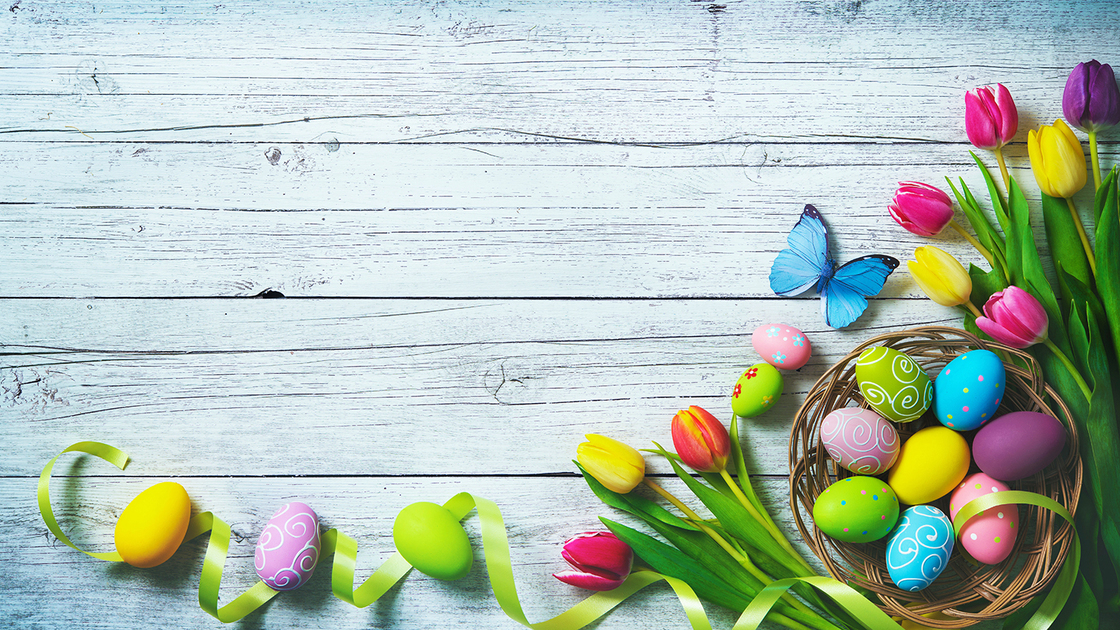 Easter background. Colorful spring tulips with butterflies and painted eggs on vintage wooden board