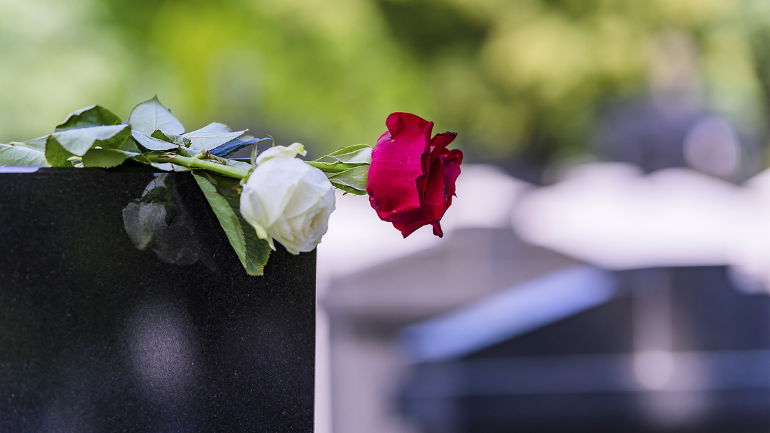 Close View of Headstone In Cemetery With Red Rose Flower. Concept Of Funeral, Death And Loss.