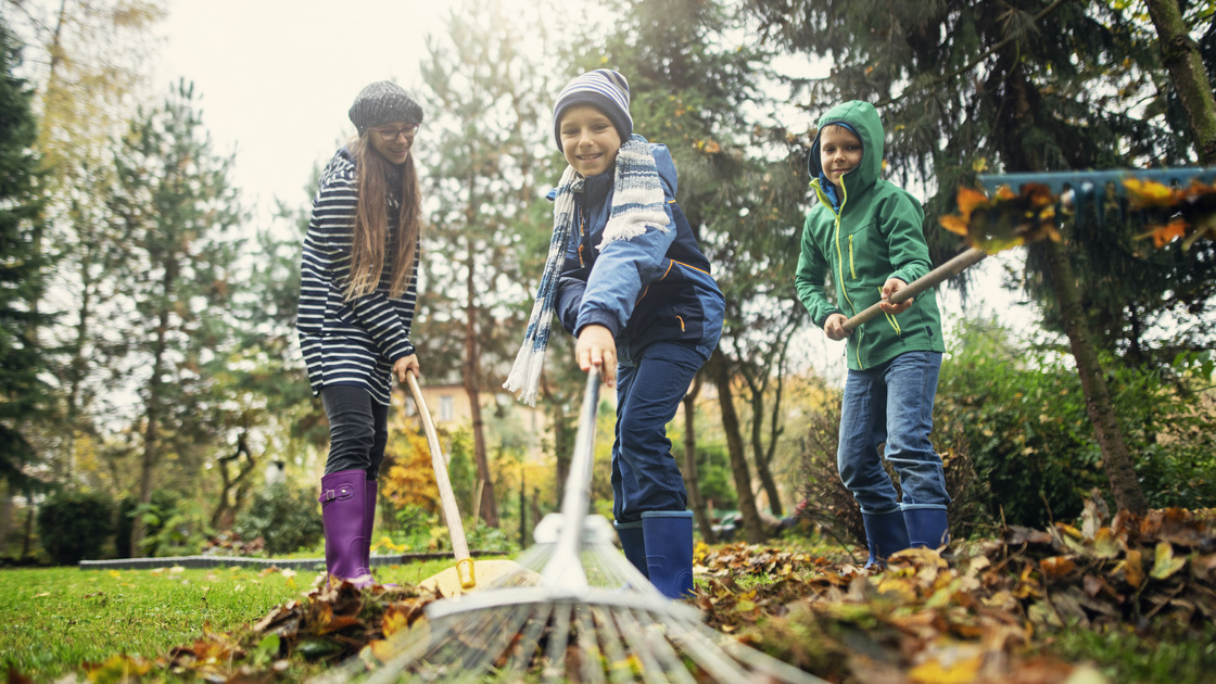 Brothers and sister raking autumn leaves. Kids are helping to clean autumn leaves from the garden lawn.