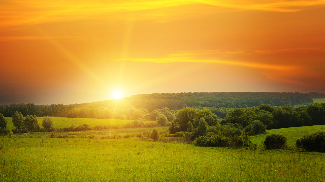 field, sun rise and blue sky