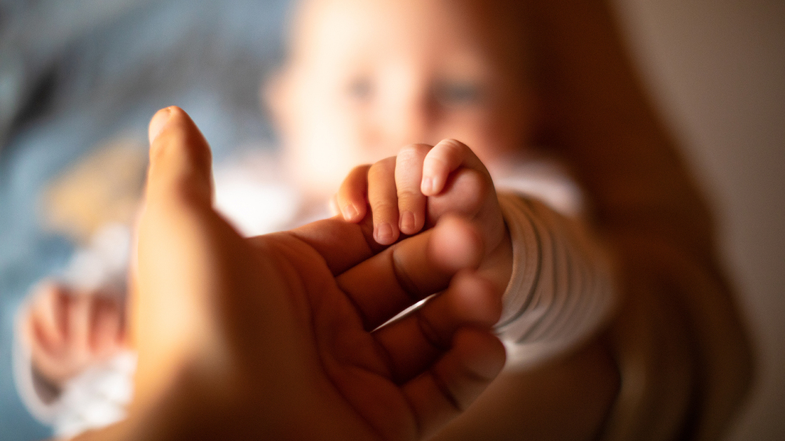 Hand holding newborn baby's hand