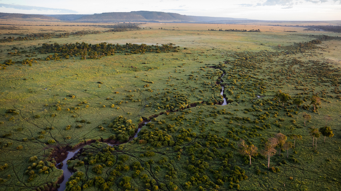 An aerial view of the Maasai Mara in Kenya. The picture was taken from a hot air balloon.