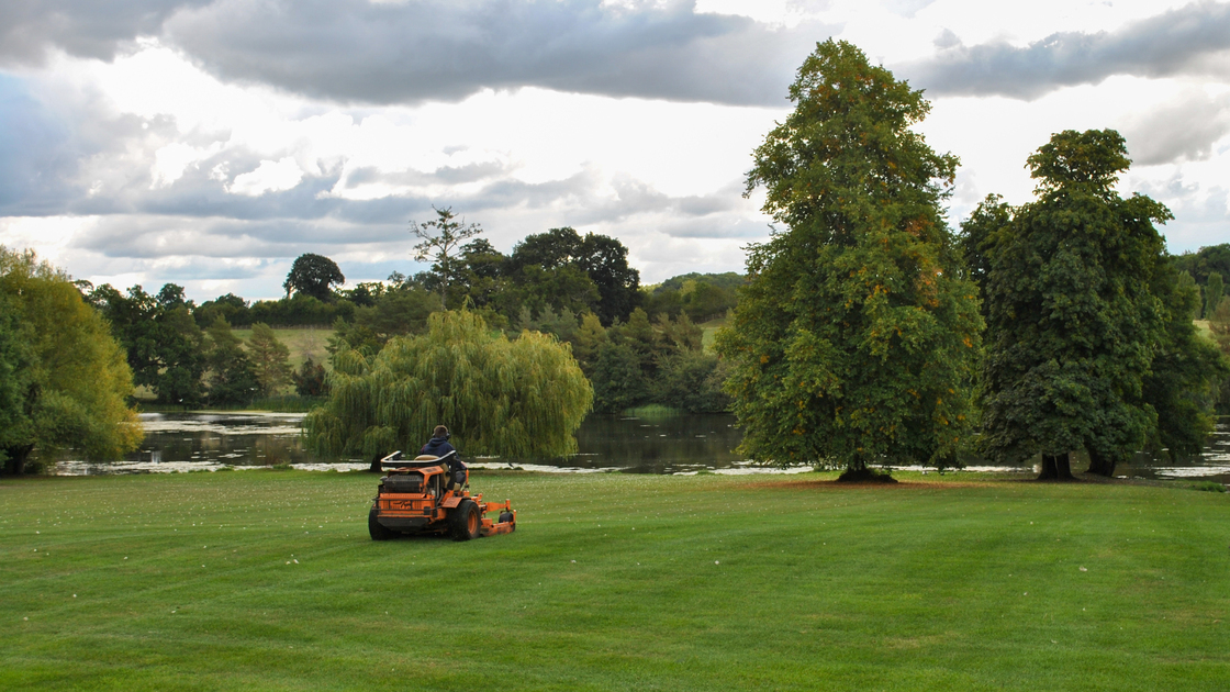 UK 2022 Mowing.jpg