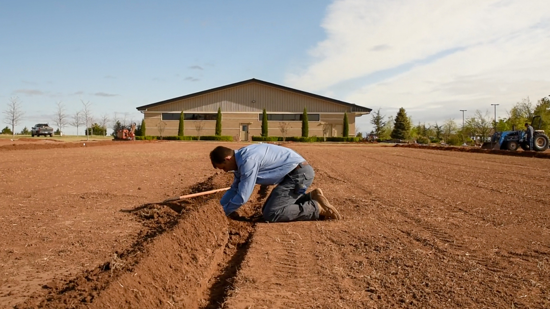 Irrigation Warren Reinsch.jpg