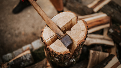 250613-EM-Timber!!-1294477129