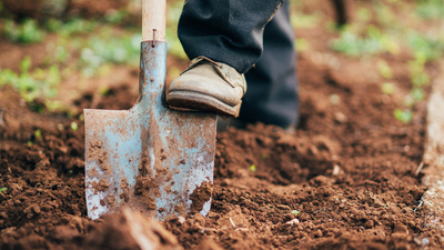 Digging a hole with shovel and boots in the field.