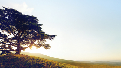 Photo taken in Alba, Italy