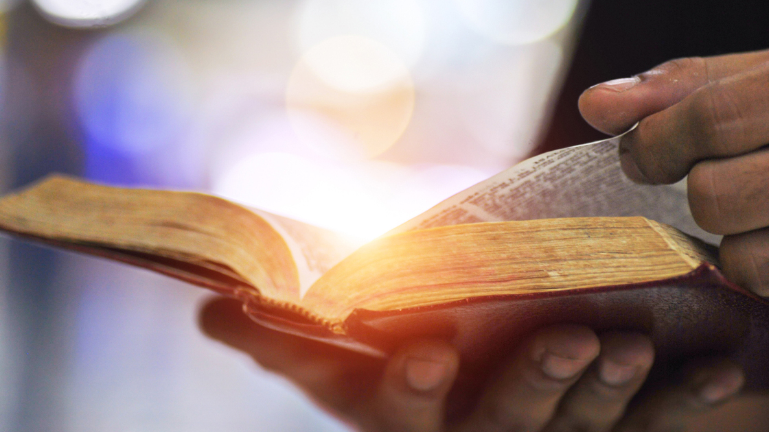 Man holding Open book in hands. Male hands hold a hardcover book. Education, literature, knowledge, reading concept. Copy space