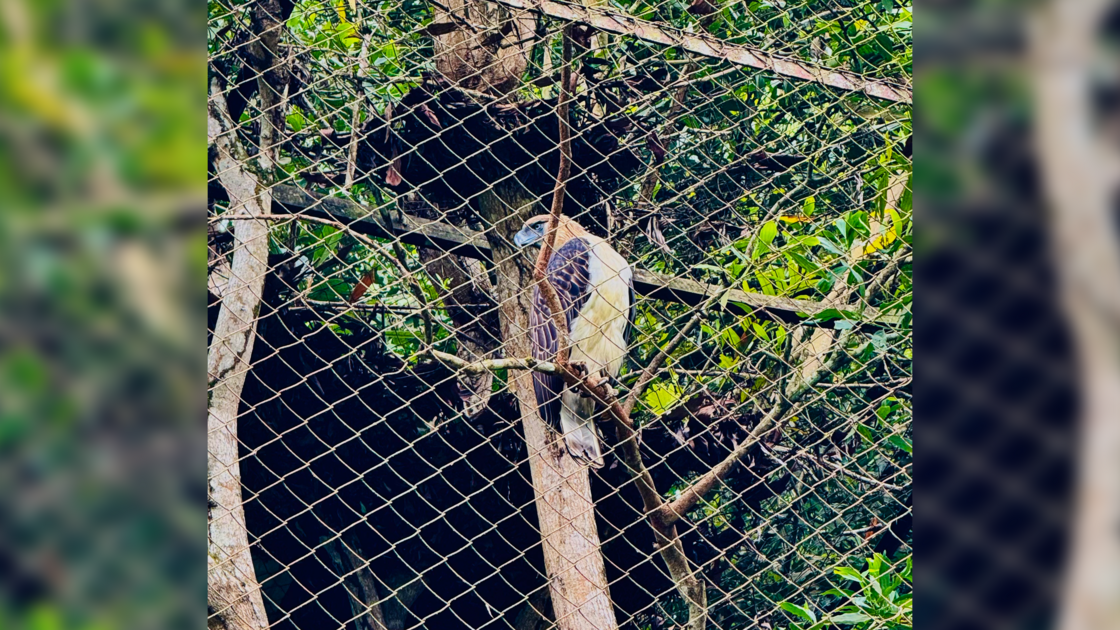 260301 PHL Davao garden resort_Jelly Obregon-2 16x9.png