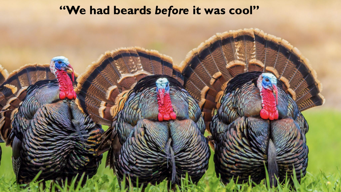 260720—Dodos (presented by Mr. Jeremiah Jacques)_slide 4.png