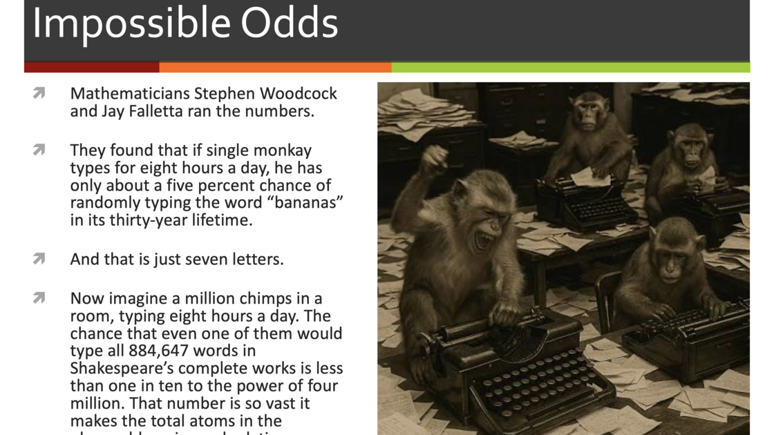 260728—Monkeys (presented by Mr. Andrew Miiller)_slide 5.png