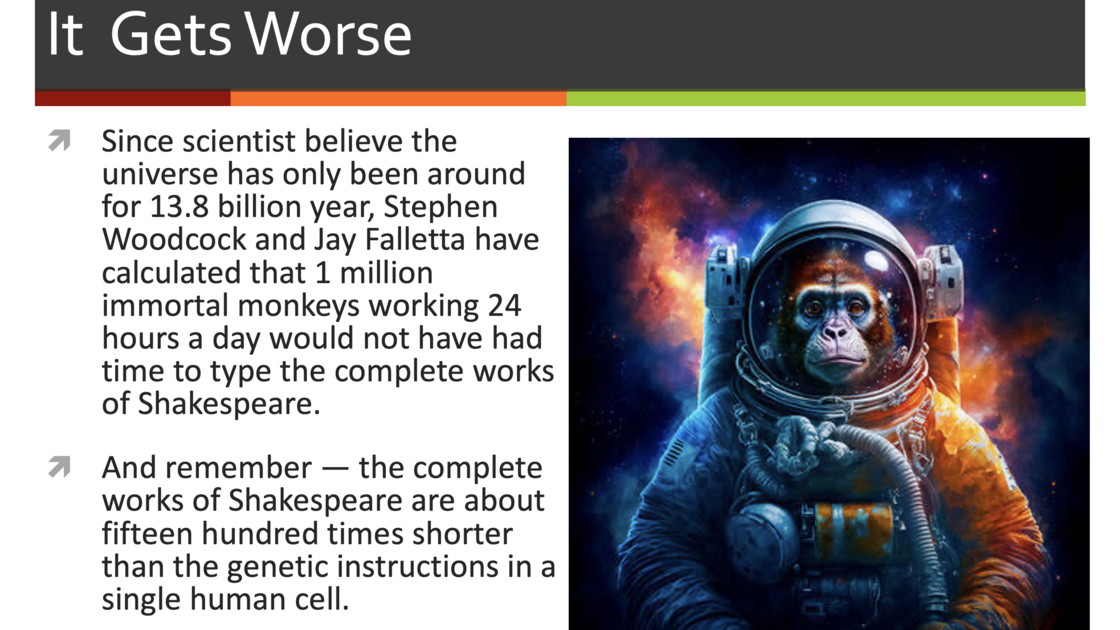 260728—Monkeys (presented by Mr. Andrew Miiller)_slide 6.png