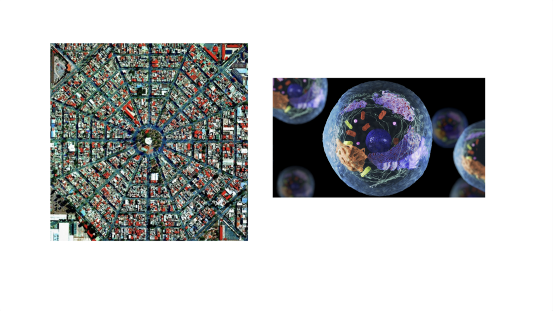 260730—Kinesin (presented by Mr. Jeremiah Romanos)_slide 4.png